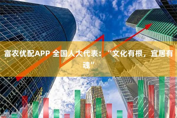 富农优配APP 全国人大代表：“文化有根，宜居有魂”